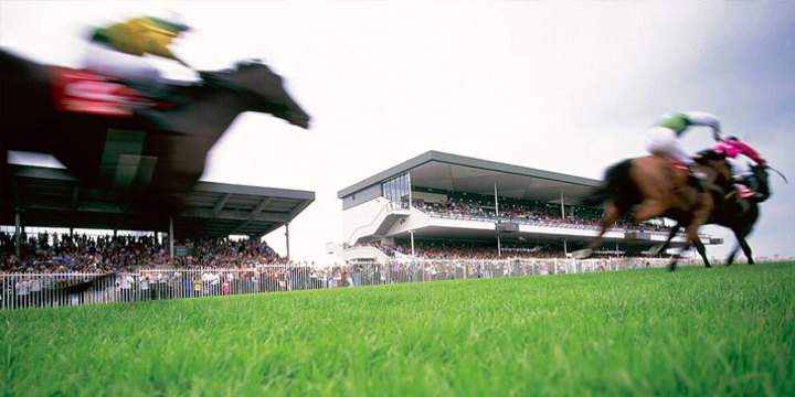 Galway Festivals